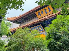 -西安大兴善寺