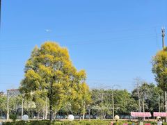 -广东花都香草世界旅游度假区