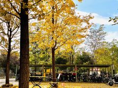 -西美五洲酒店康乐中心