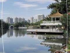 -荔枝公园(福田区)