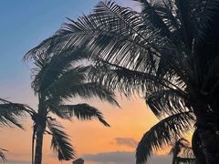 -玫瑰海岸文化旅游度假区