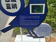 -和平公园