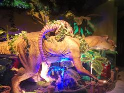 -恐龙探索乐园(磁器口店)