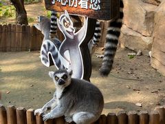 -北京野生动物园