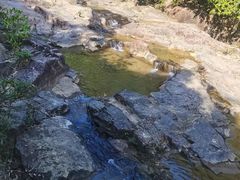 -广州白江湖森林公园