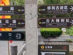 -大槐树寻根祭祖园
