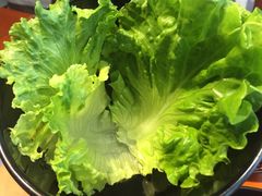 -HONGA HONGA雄家(曹路店)