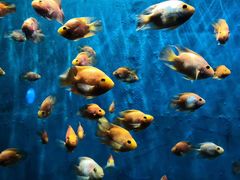 -成都浩海立方海洋公园