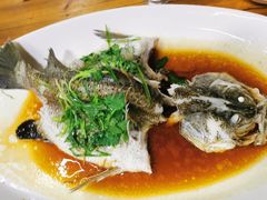 -八仔大富楼·河鲜(西江店)