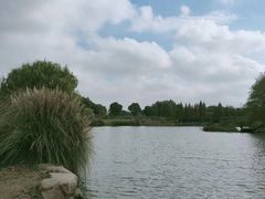 -九里河湿地公园