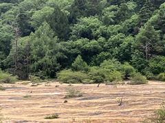 -黄龙山原始森林景区