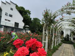 -东湖落雁景区