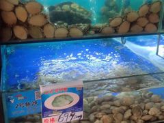 水产区-南海渔家•海鲜•正宗海南菜(海棠湾店)