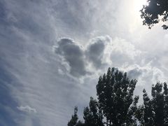 -奥林匹克森林公园南门-停车场