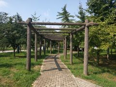 -龙寺生态园