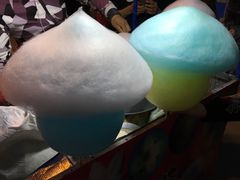 -南湖大桥