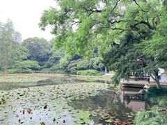 -杭州植物园
