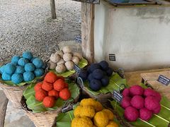 -大象粑粑造纸公园