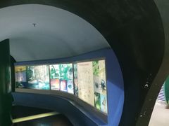 -上海昆虫博物馆