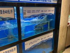 -舒来喜鱼锅(伊河路店)