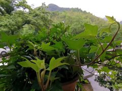 -宁波五龙潭景区