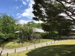 -醍醐寺