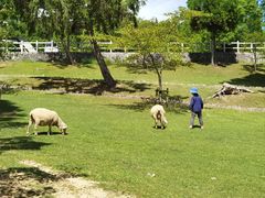 -神户六甲牧场(北野本店)