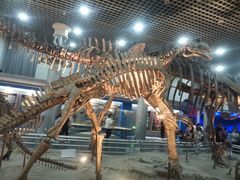 -国家自然博物馆