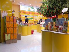 -金顺昌桂林桂花伴手礼(正阳一店)