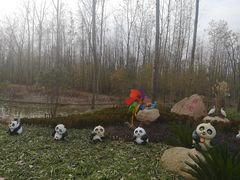 -合肥滨湖国家森林公园