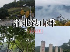-铁山坪森林公园