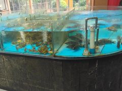 -耕渔小院·湖南鱼鲜(望城店)