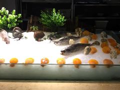 -德得轩烤涮一体自助餐厅(王府井店)