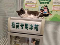 -悦宠凯宝动物医院·牙科·皮肤科(朝阳北路店)