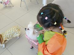 -怪兽屋·羊驼·猫咖·狗咖(俊华广场店)