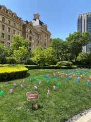 -宝妈港湾催乳通乳产后恢复(新苑店)