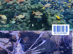 -成都浩海立方海洋公园