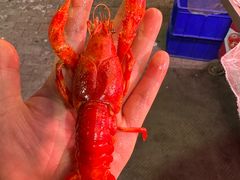 -蒲城王家烧烤大全(渭南分店)