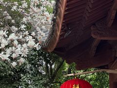 -龙华寺