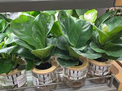 -鹿岛生活(熙地港店)