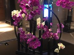 -唐拉雅秀酒店-唐苑中餐厅