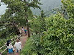 -罗田薄刀峰风景区