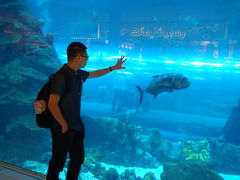 -迪拜水族馆及水下动物园
