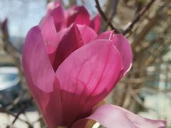 -亦庄创意生活广场