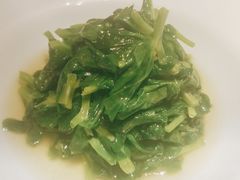 清炒豌豆尖儿-晟永興烤鸭店(五道口店)