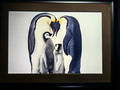 -罗红摄影艺术馆