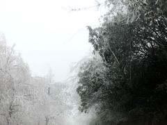 -山王坪喀斯特国家生态公园