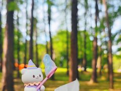 -上海共青森林公园