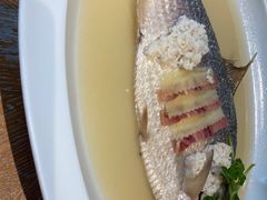 -宁波柏悦酒店·钱湖渔港