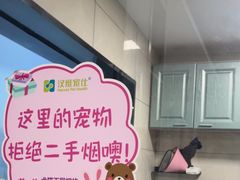 -半岛宠物医院24小时(白果林店)